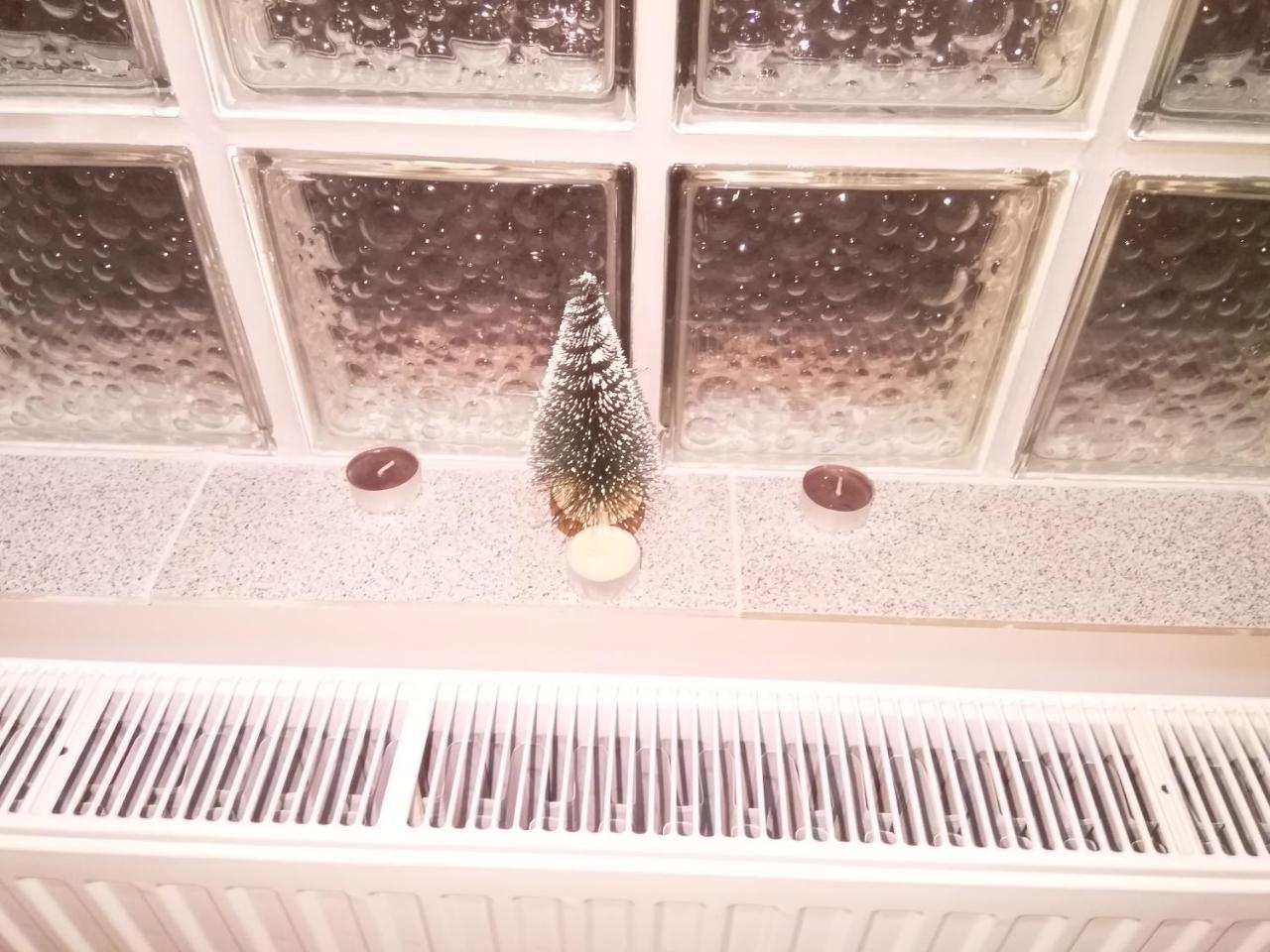 Djurdja Apartment Arandelovac Zewnętrze zdjęcie